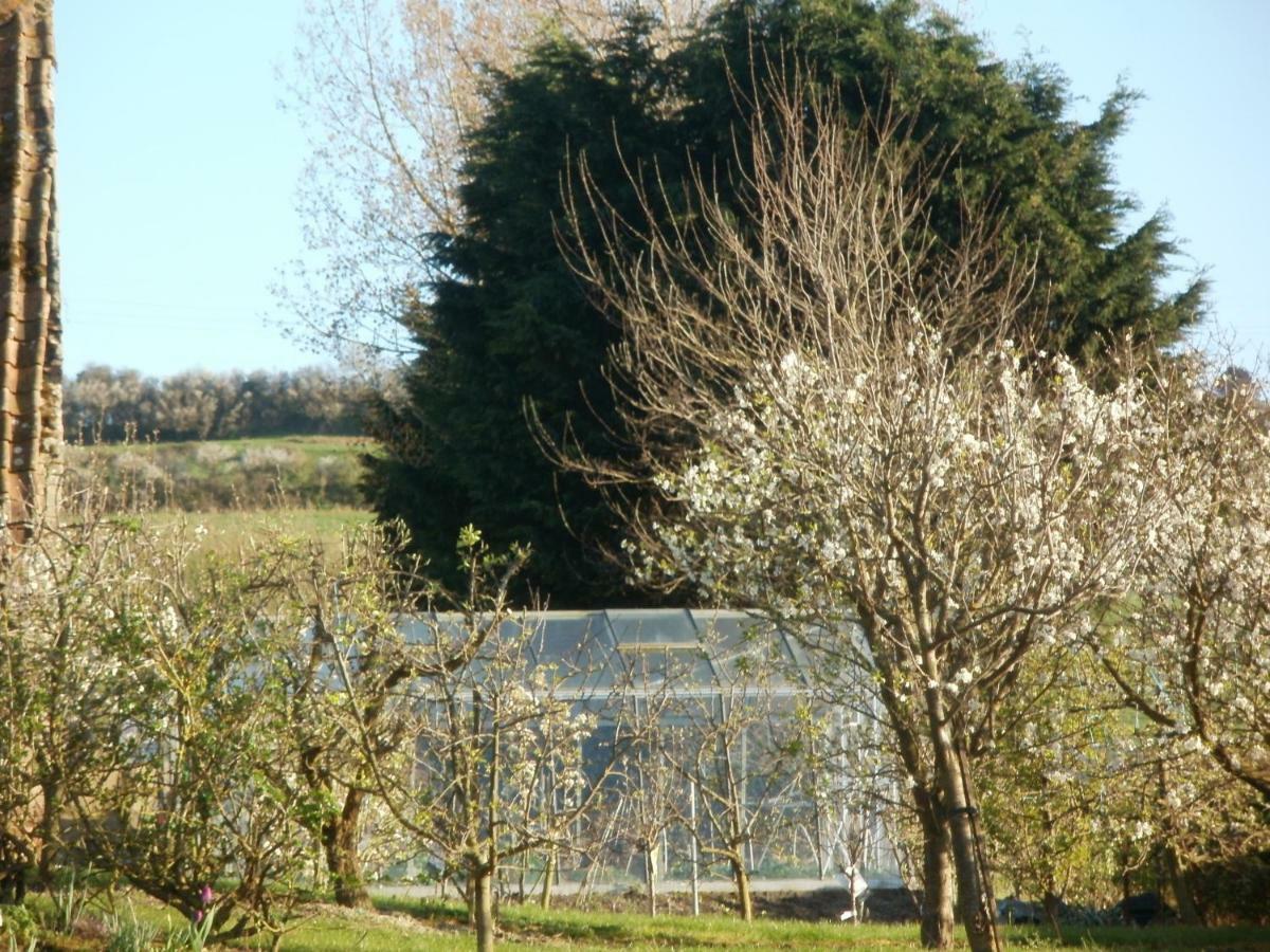 La Ferme Fleurie Villa Echinghen Kültér fotó